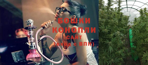 мескалин Бородино