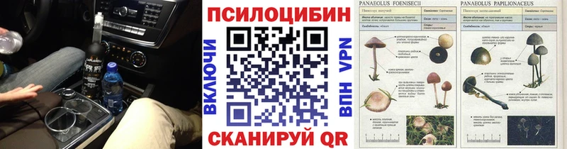Псилоцибиновые грибы ЛСД  купить наркотики цена  Улан-Удэ 